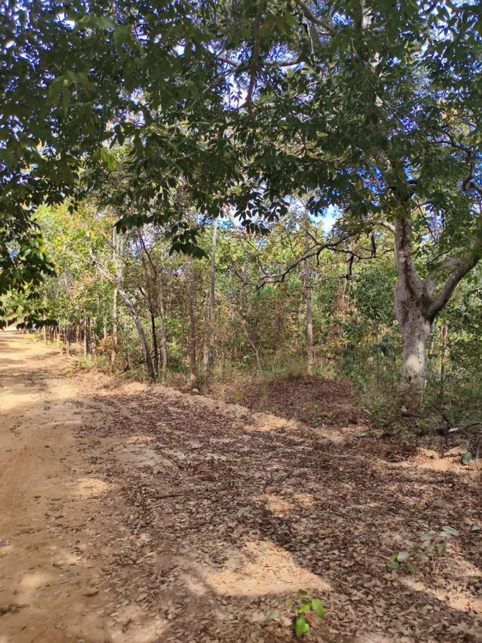 Lote / Chácara - Lago Serra da Mesa - Foto 5