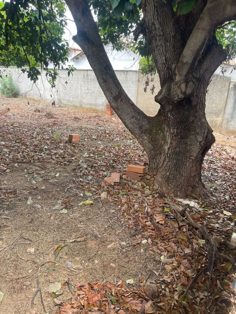 Vende se lote murado