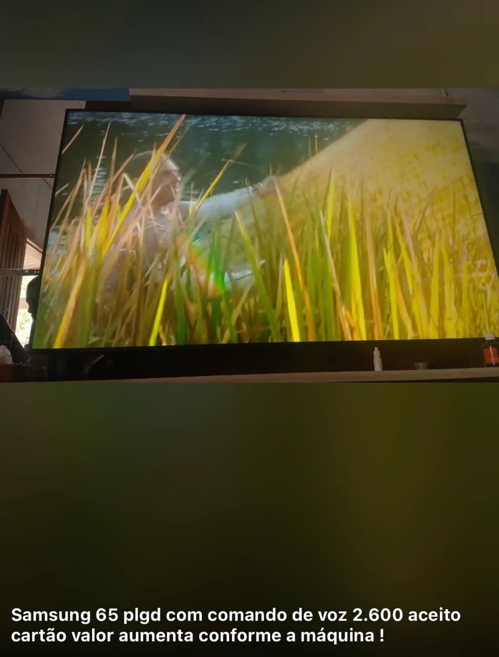 TV 65 polegadas 