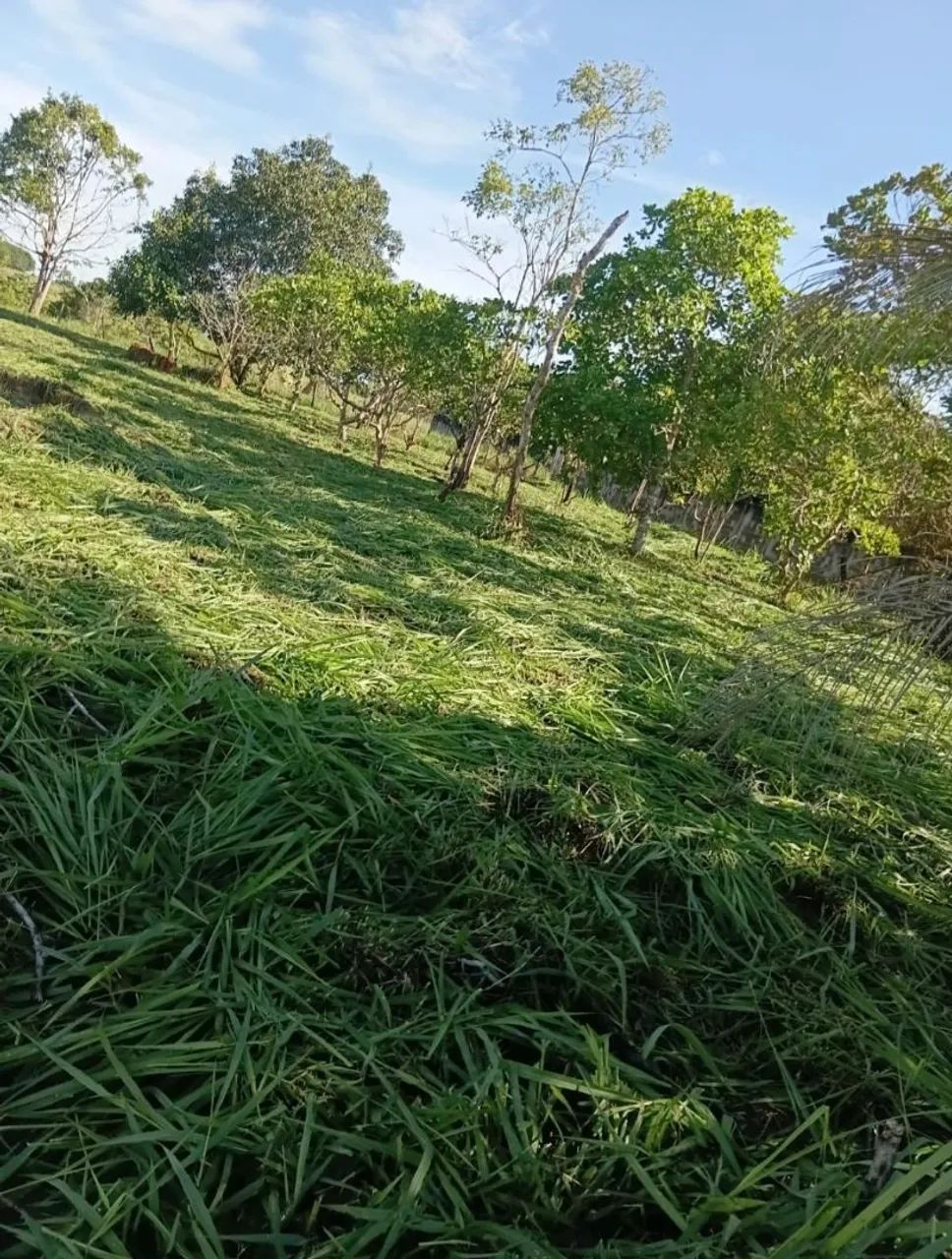 Terreno à venda - Foto 4