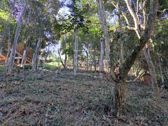 PETRóPOLIS - Terreno Padrão - Nogueira - Foto 3