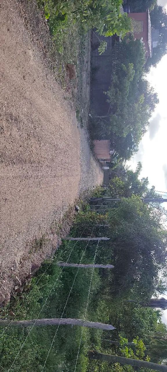Lotes 7x18 na área de expansão  - Foto 3