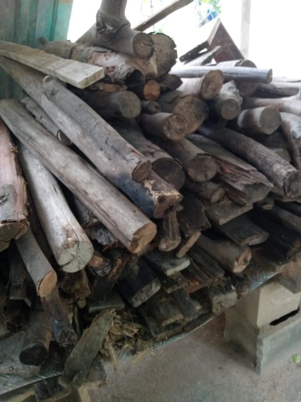 DOAÇÃO DE LENHA SECA 6M3 - Foto 4