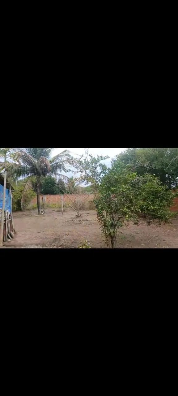 VENDO SITIO NO RETIRO CORAÇÃO DE  - Foto 4