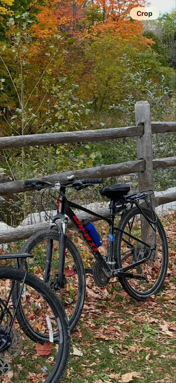Bicicleta by Giant - Masculina - Aro 29 - Foto 4