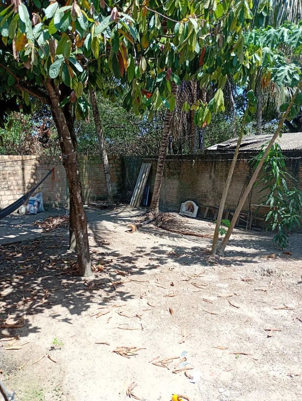 Sim  - Foto 4