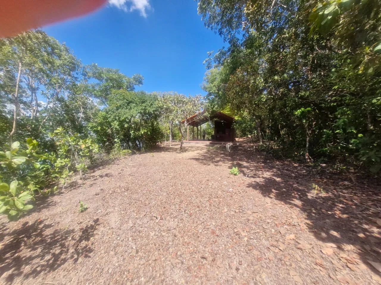 Chácara à Venda - Rio Santa Luzia | Palmas - TO - Foto 2