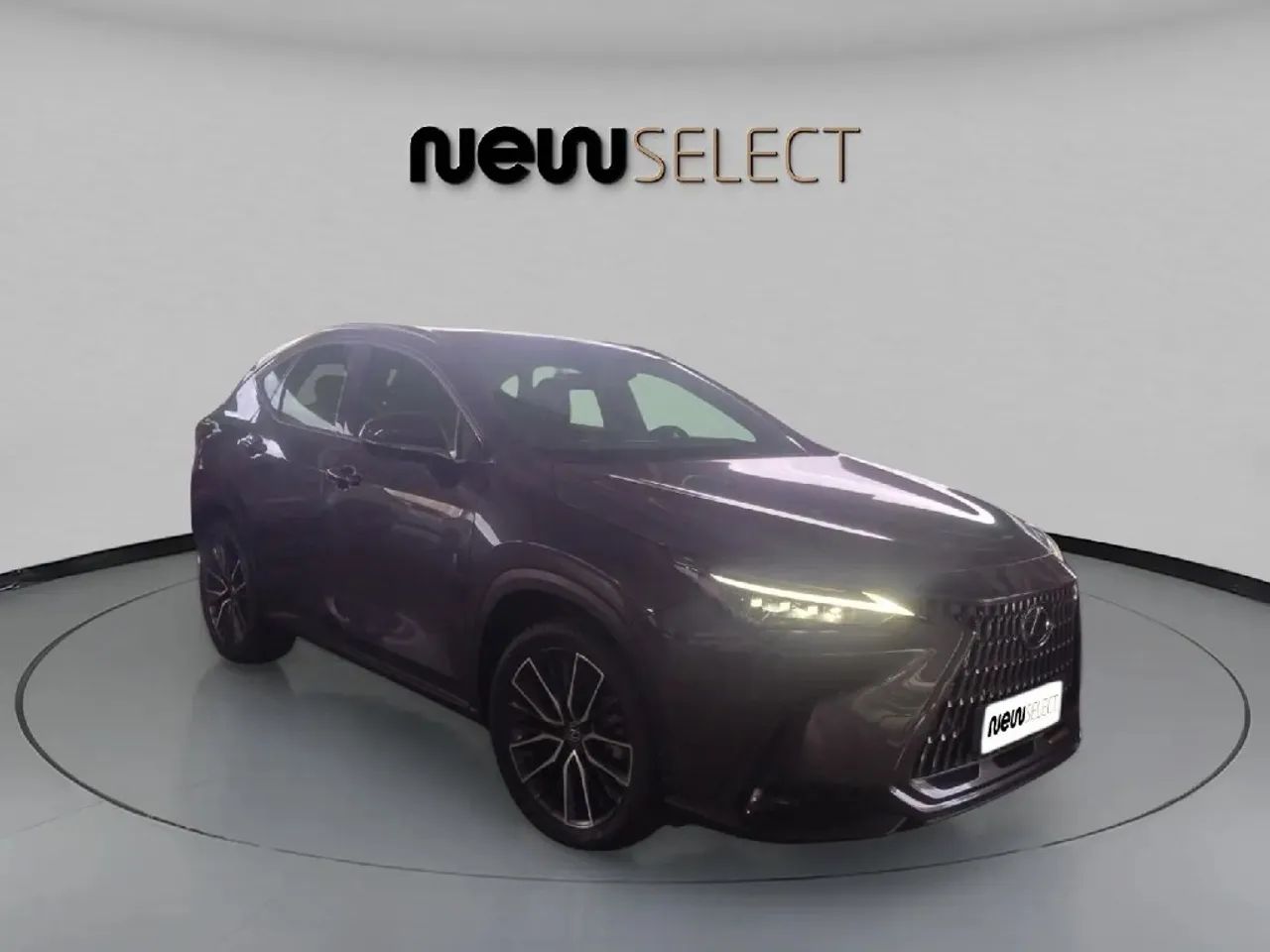 Lexus NX-450h+ AWD 2.5 16V Aut. (Híbrido), foto 7 de 15