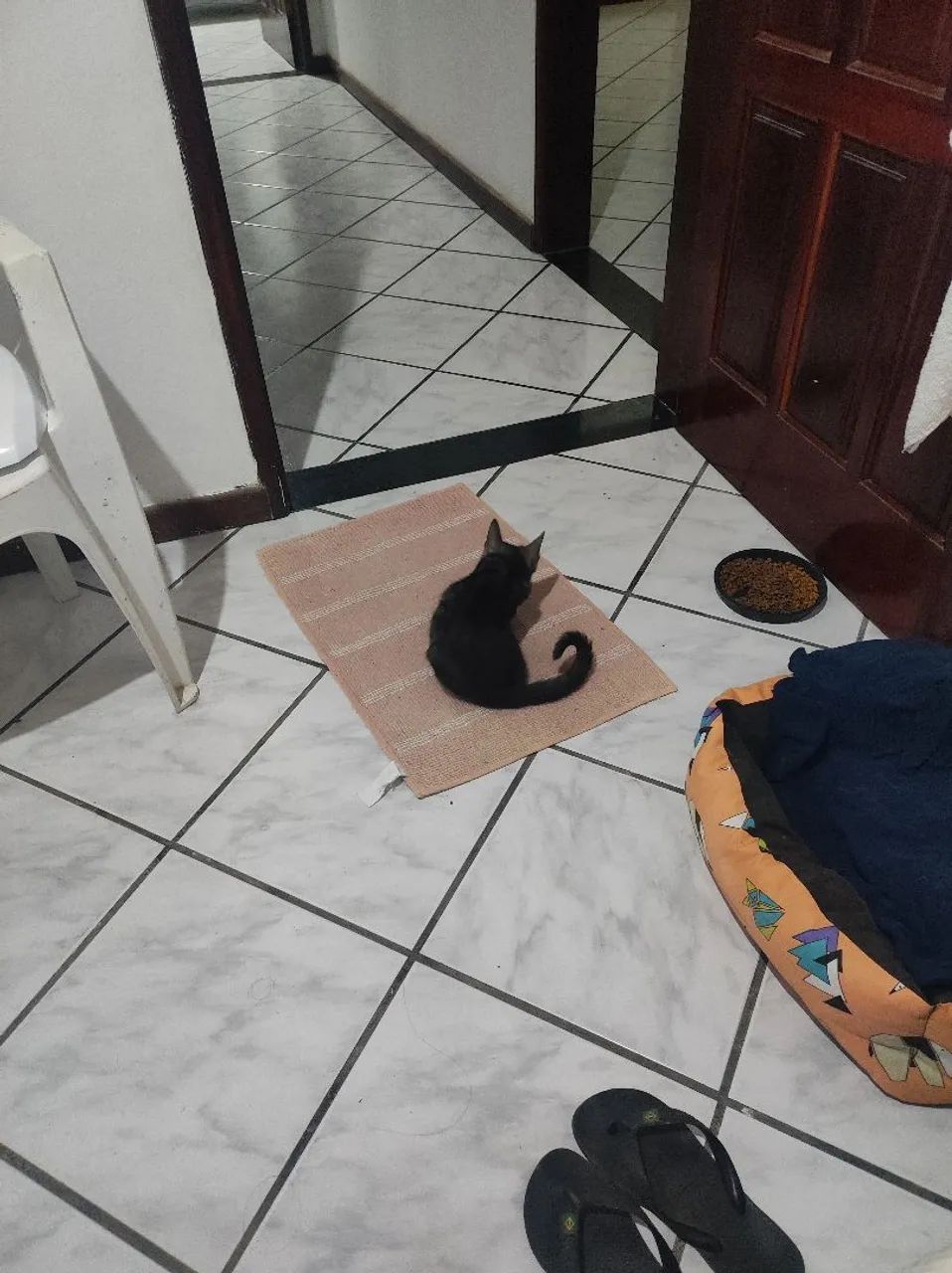 Pet Sitter  - Foto 4