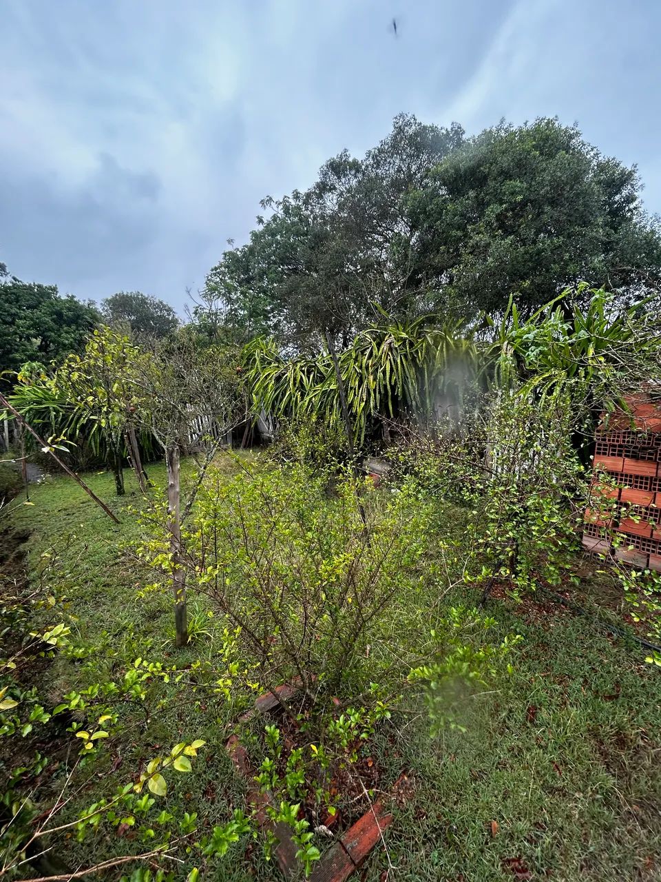 Chácara araçoiaba da Serra  - Foto 2