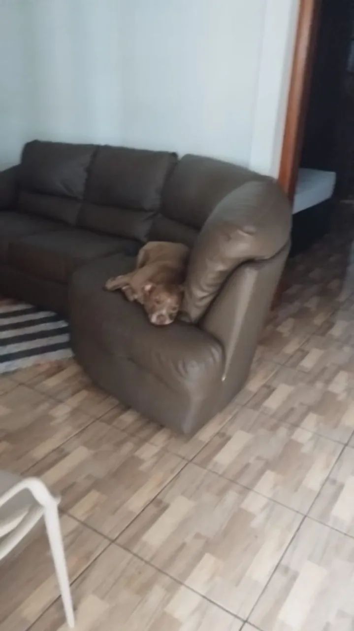 Vendo sofá 