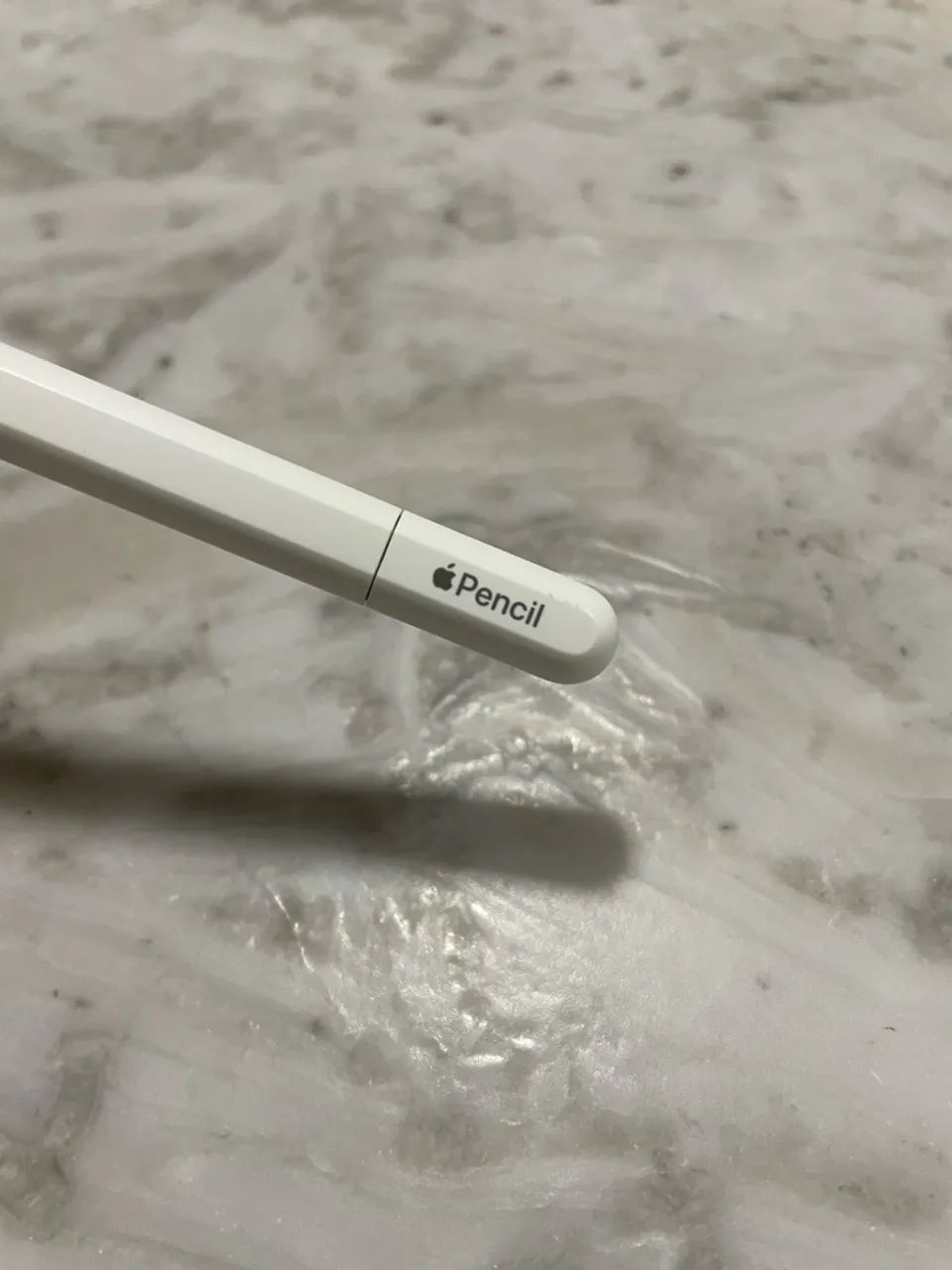 Apple Pencil (USB-C) Original  - Foto 4