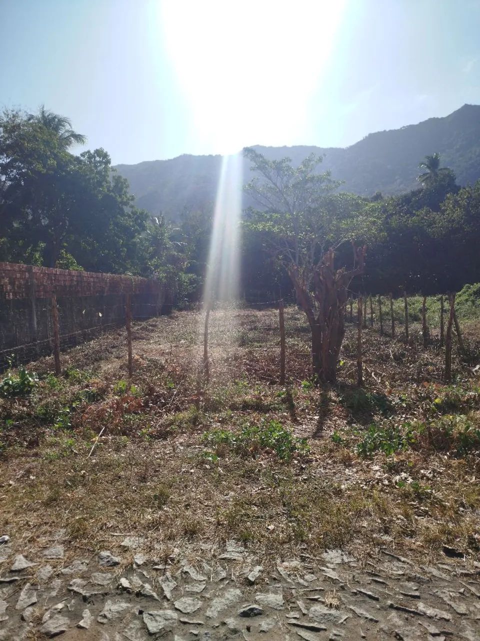 LOTE NA ÁREA CENTRAL DE PACATUBA