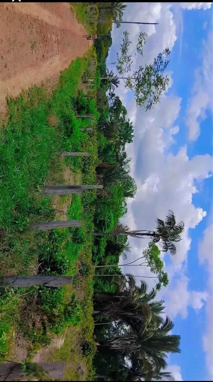 Vendo sítio próximo ao Candeias  - Foto 2