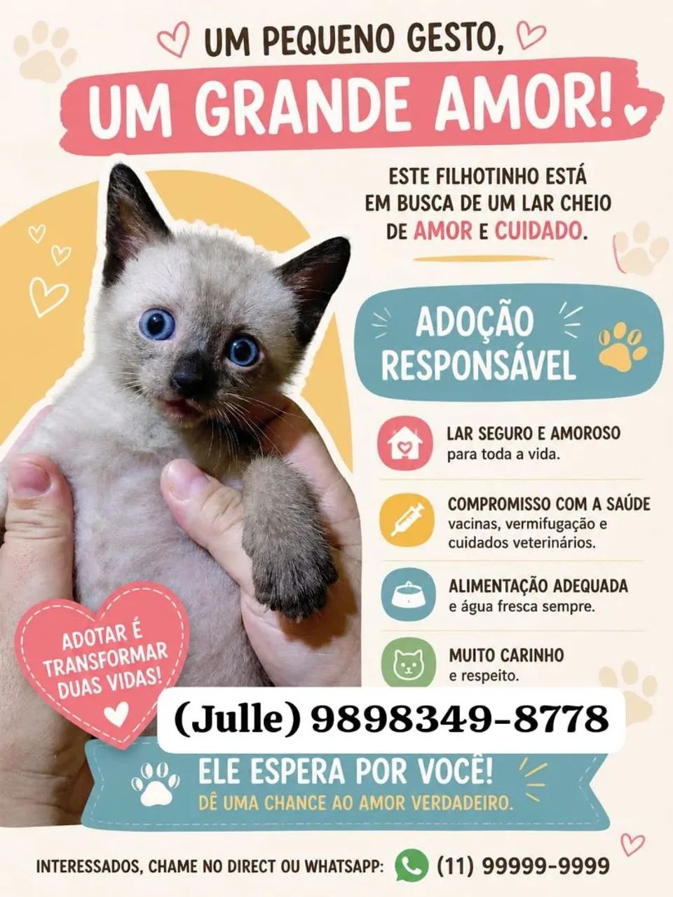 Adoção responsável  - Foto 2