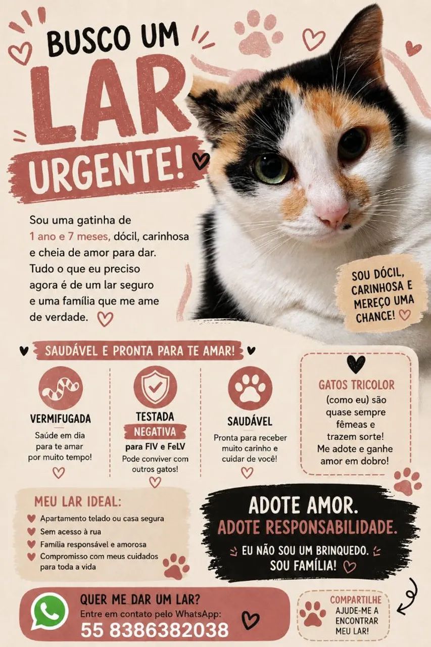 Gata adoção responsável 