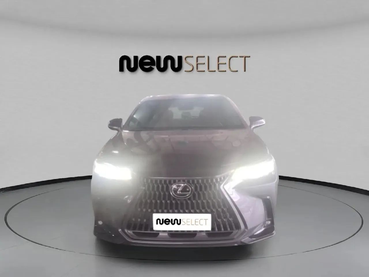 Lexus NX-450h+ AWD 2.5 16V Aut. (Híbrido), foto 8 de 15