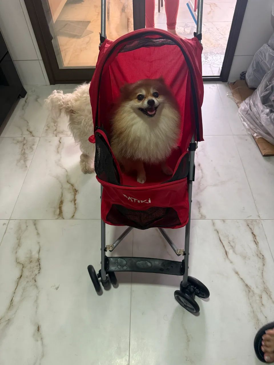 Carrinho de passeio PET BATIKI vermelho - Foto 2