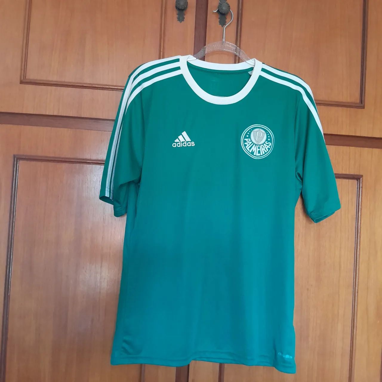 Palmeiras 2013 oficial M