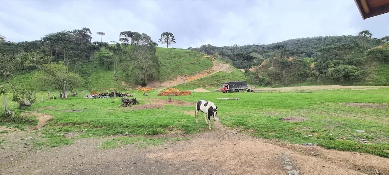 Bom Retiro- Serra Catarinense- Sitio-Pousada- 362.000 m² - Foto 5