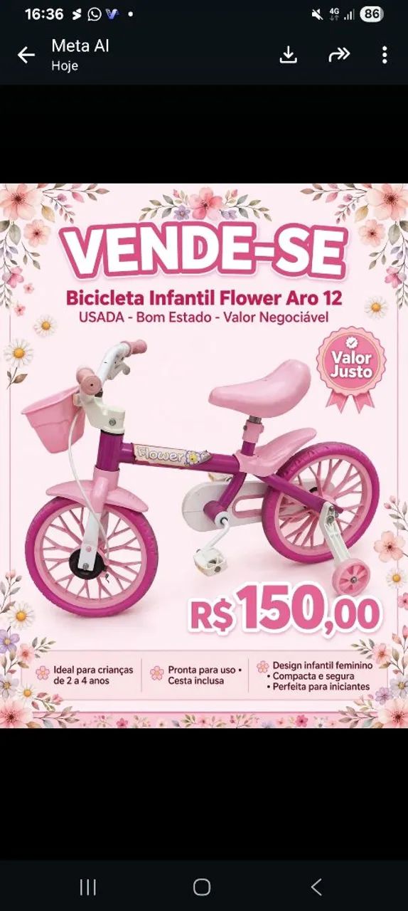 Bicicleta 