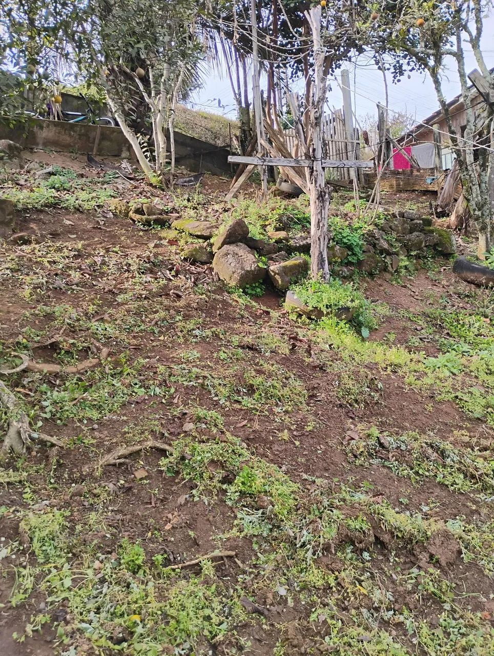 Terreno com casa de madeira  - Foto 3