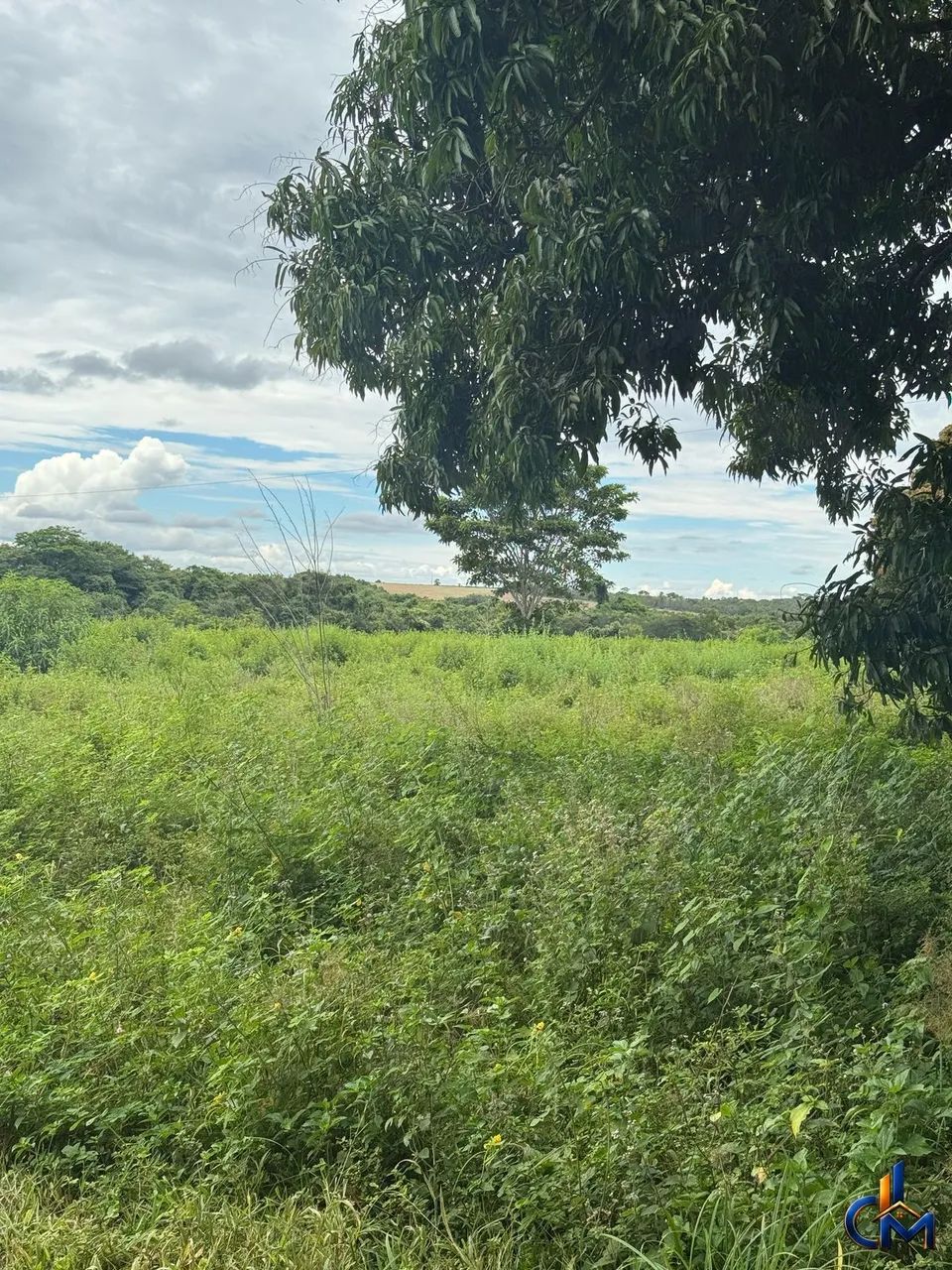 Fazenda em Paranatinga - Foto 5
