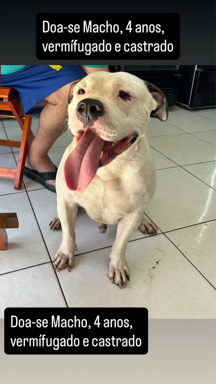 DOAÇAO - Foto 2