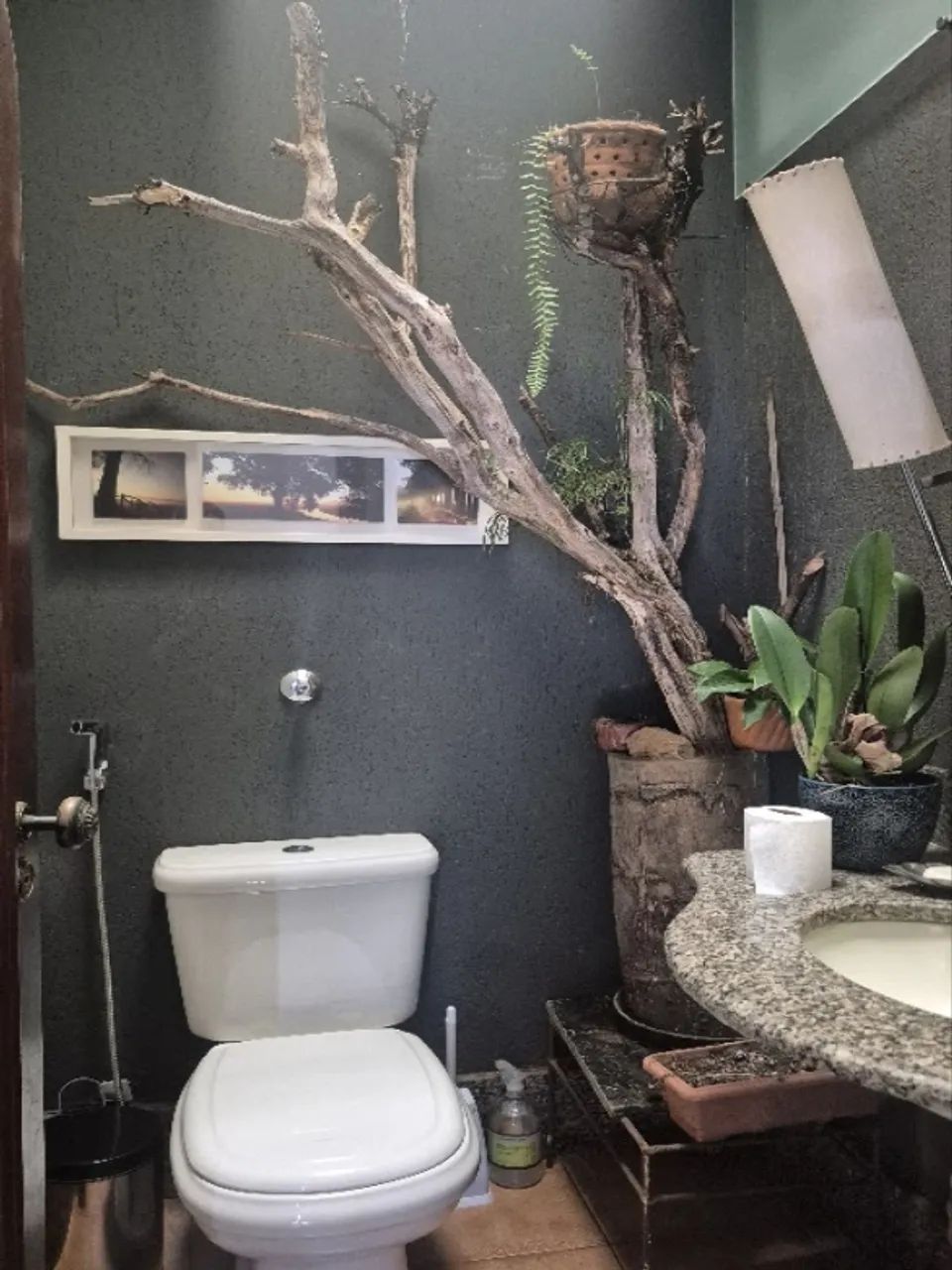 Casa com 4 quartos à venda em Belo Horizonte - Foto 5