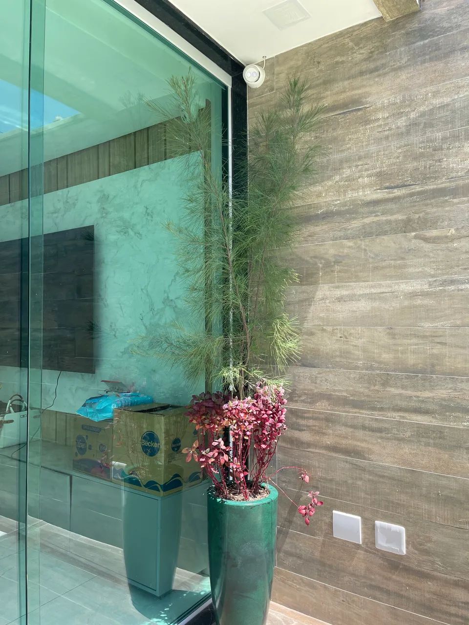 Vaso com planta