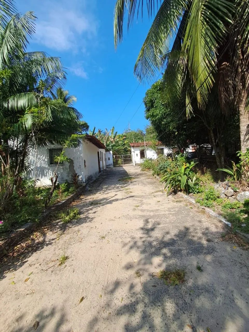 SÍTIO À VENDA EM SÃO LUÍS - 1.925 M² - Foto 4