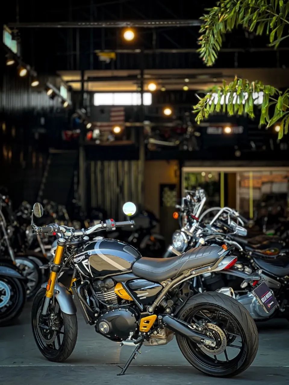 TRIUMPH SPEED 400 - Foto 2