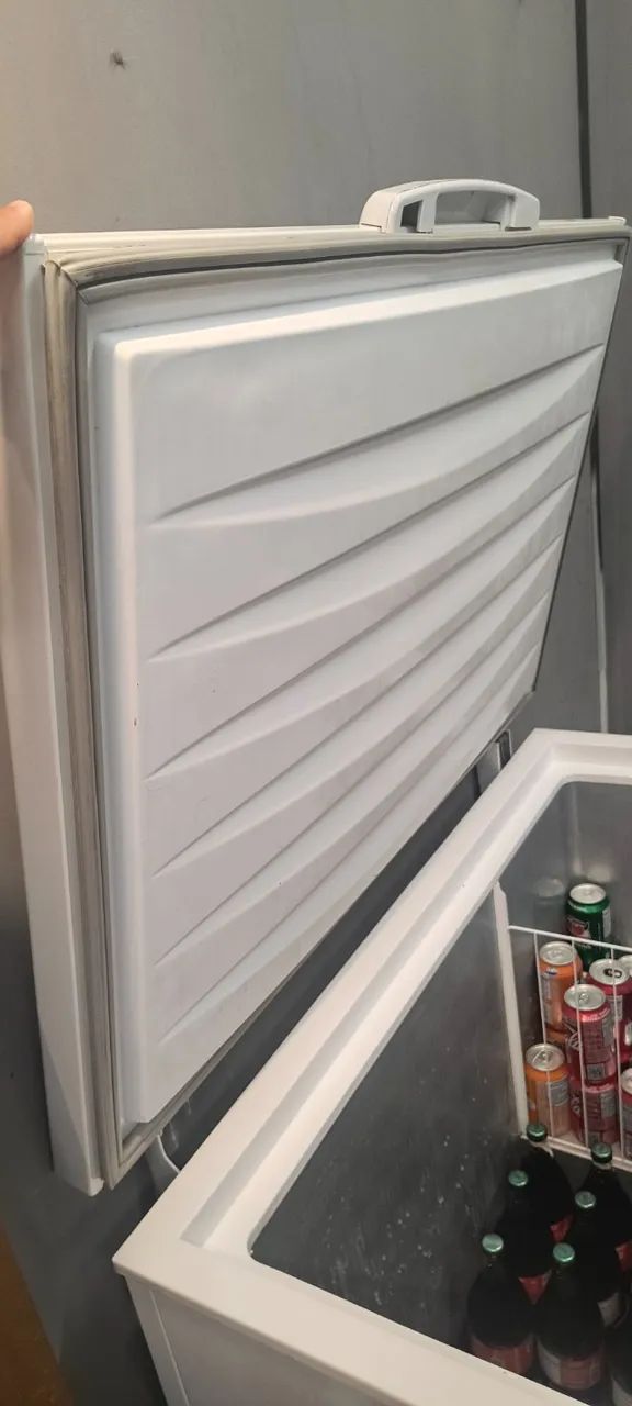 Freezer Electrolux 314l - Foto 3