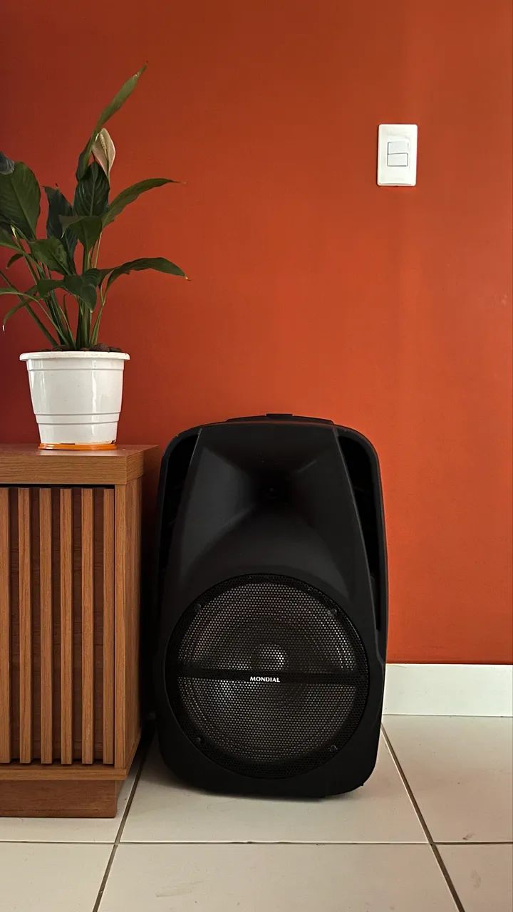 AMPLIFICADOR DE SOM 