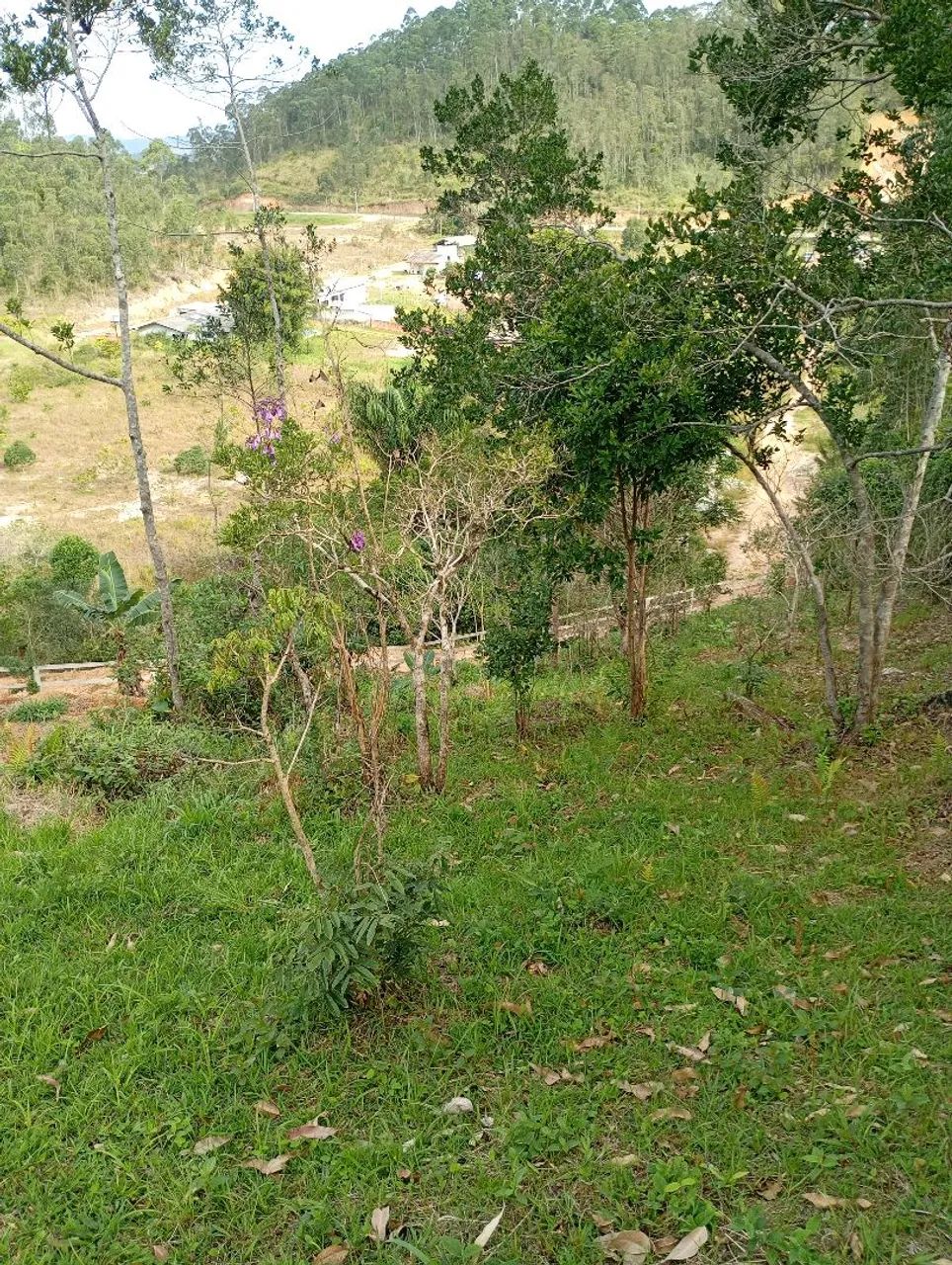Terreno chácara  - Foto 5