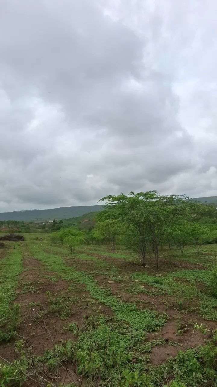 TERRENO DE 3.385m²