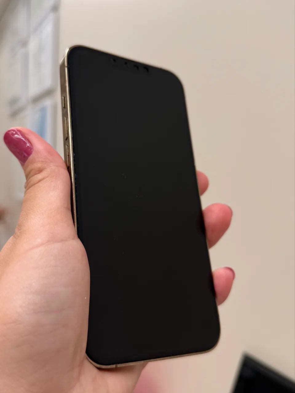 IPhone 13 Pro 256gb