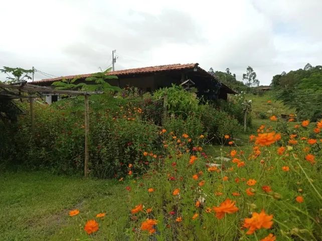  VENDO SÍTIO COM 1,5 HECTARE - BEBEDOURO DAS POSSES - Foto 2