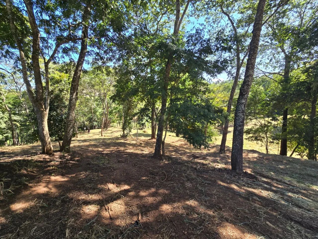 Lote no Aldeia do Vale 4.253m² - Foto 2