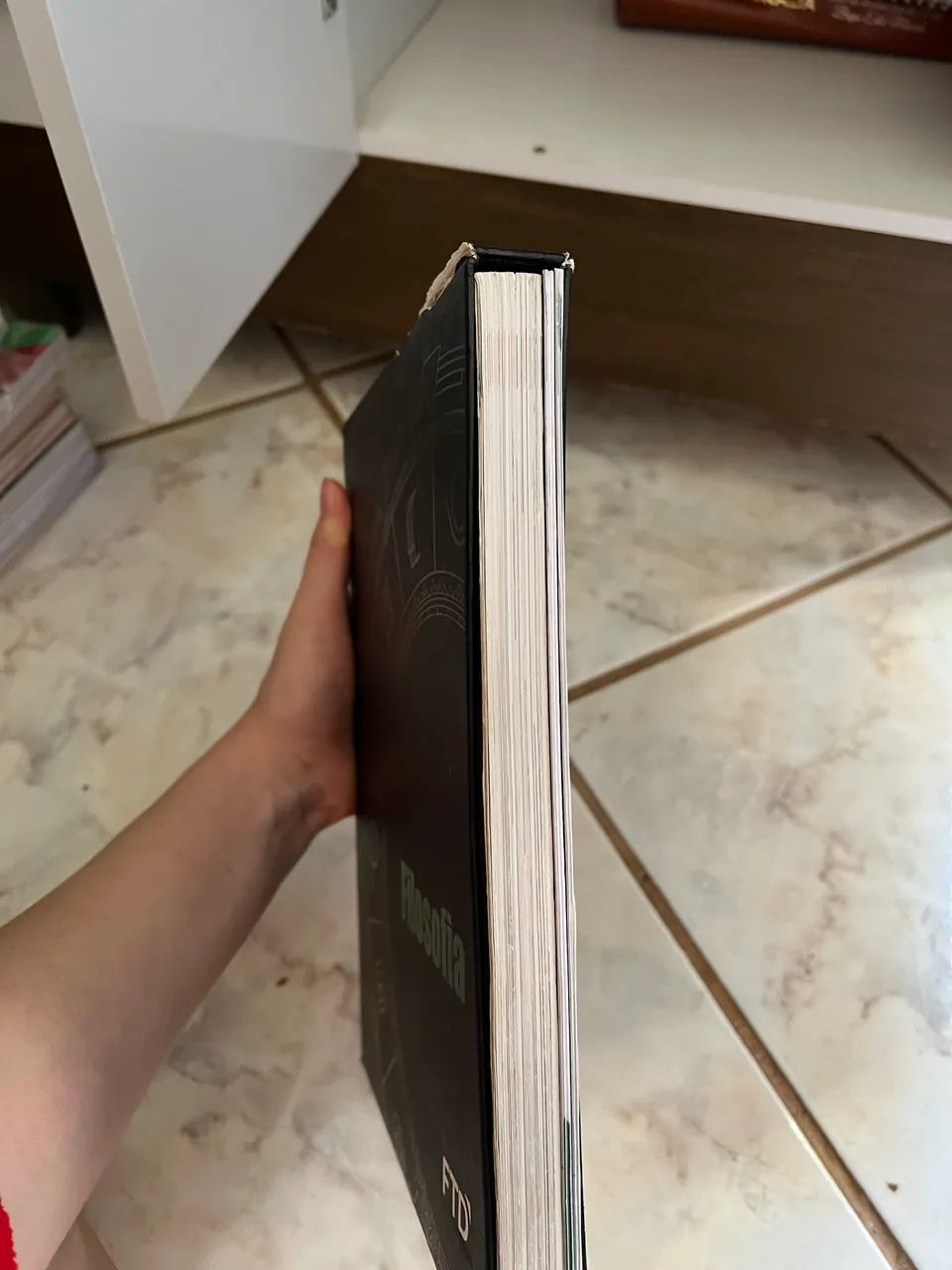 Ftd filosofia  - Foto 2