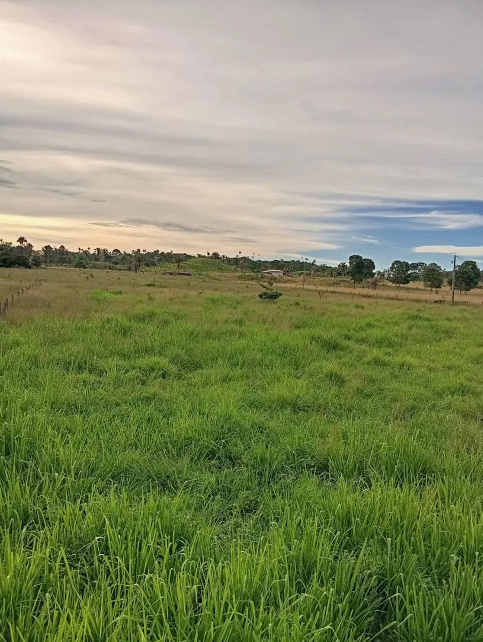 Fazenda à 5 km do rio Araguaia 