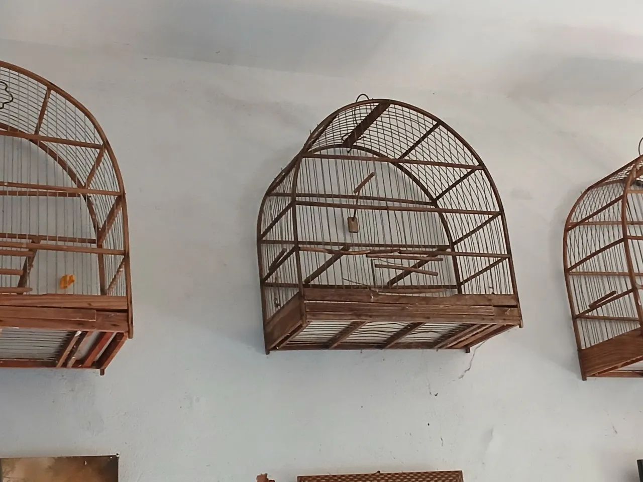 Gaiolas - Foto 3