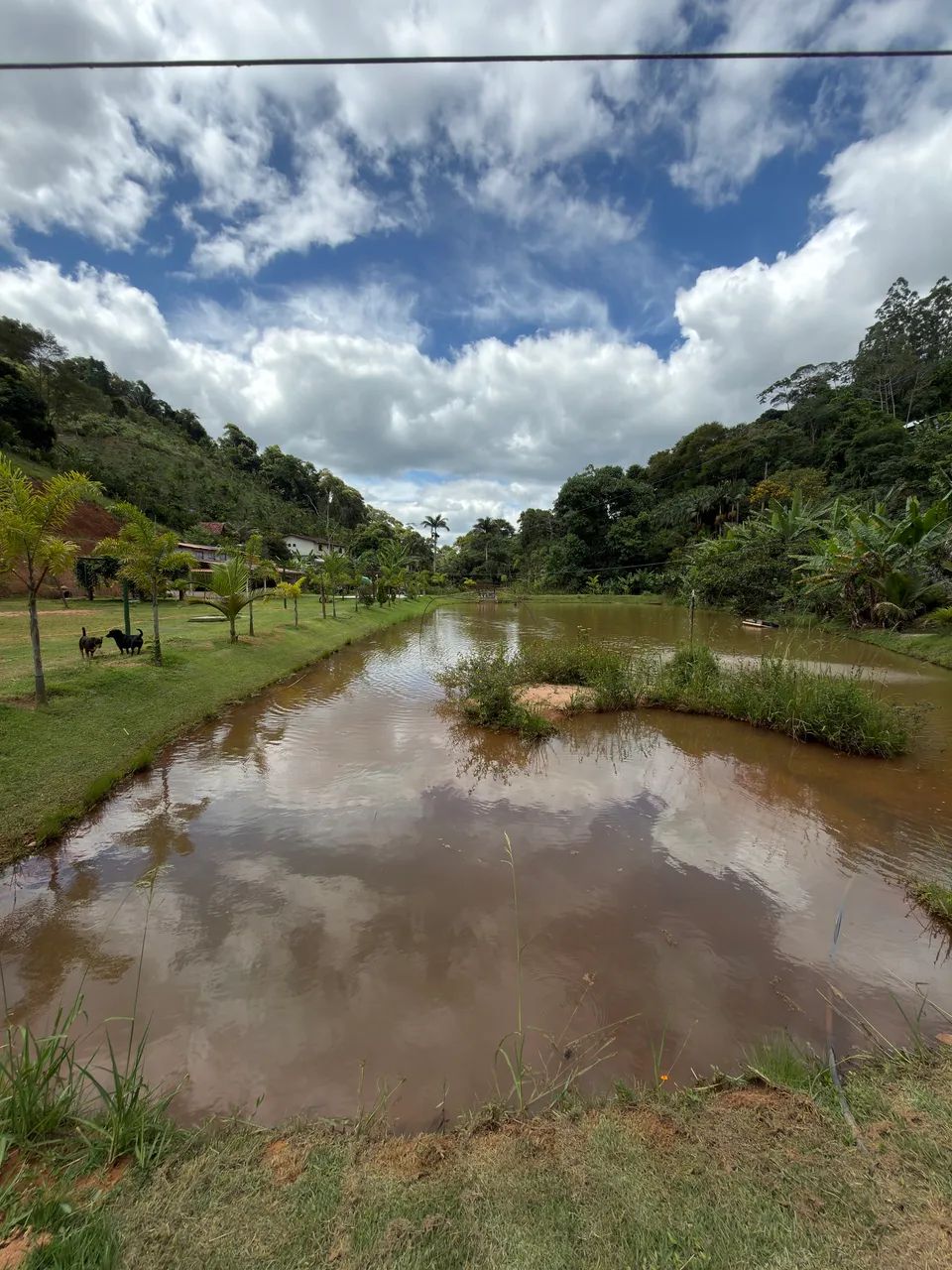 Chácara a Venda em Soido - Domingos Martins  - Foto 4