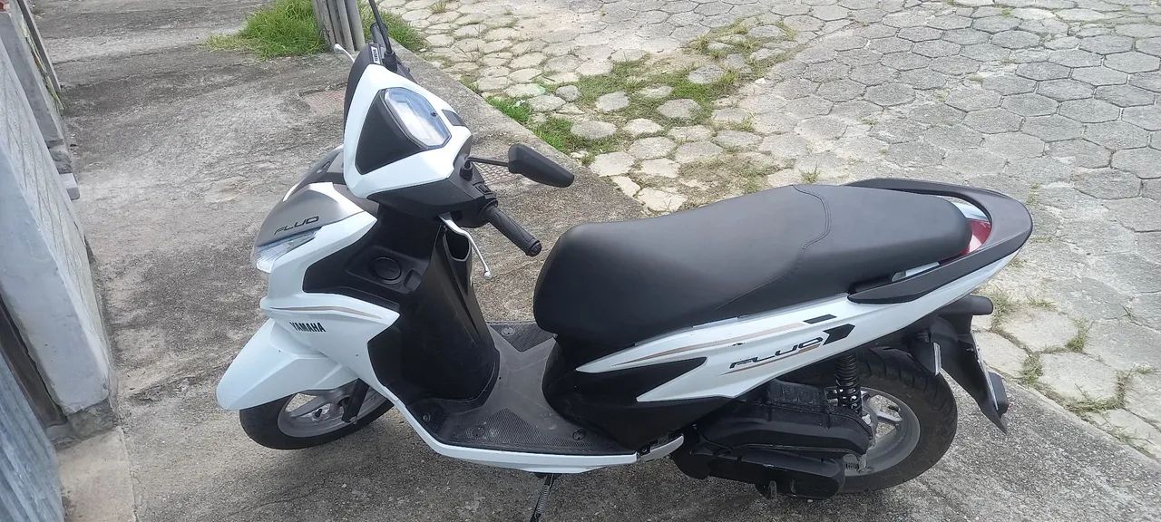 Fluo hybrida - Foto 4