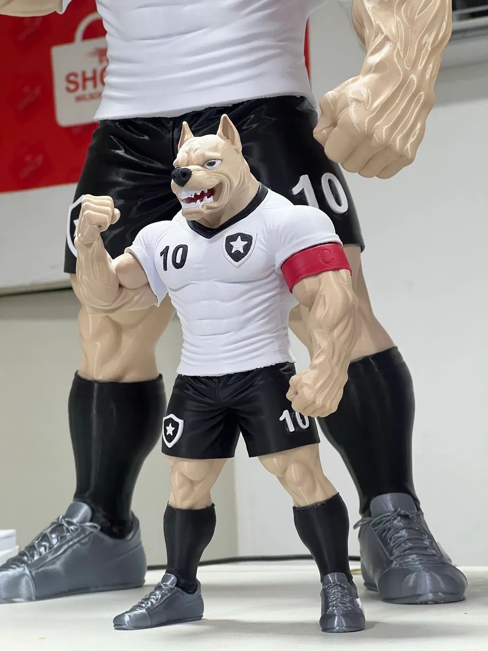 Mascote do Botafogo grande  - Foto 4