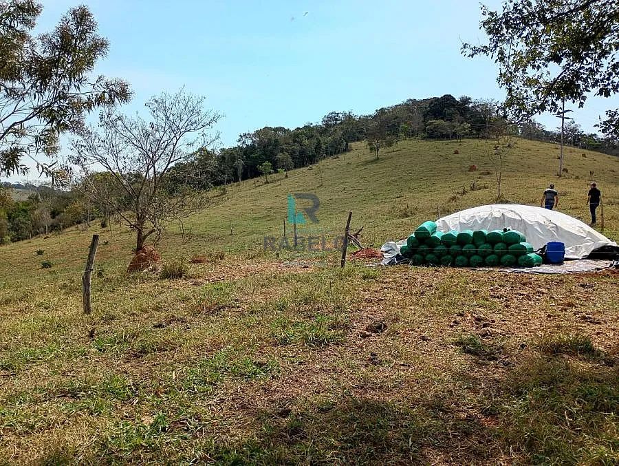 SÍTIO COM 2 ALQUEIRES À VENDA EM LAGOINHA-SP - Foto 5