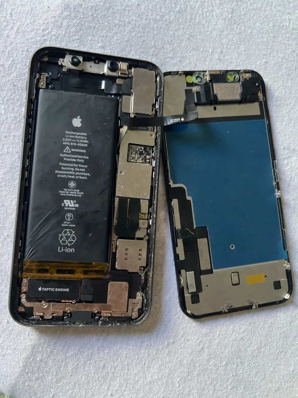 iPhone 11 