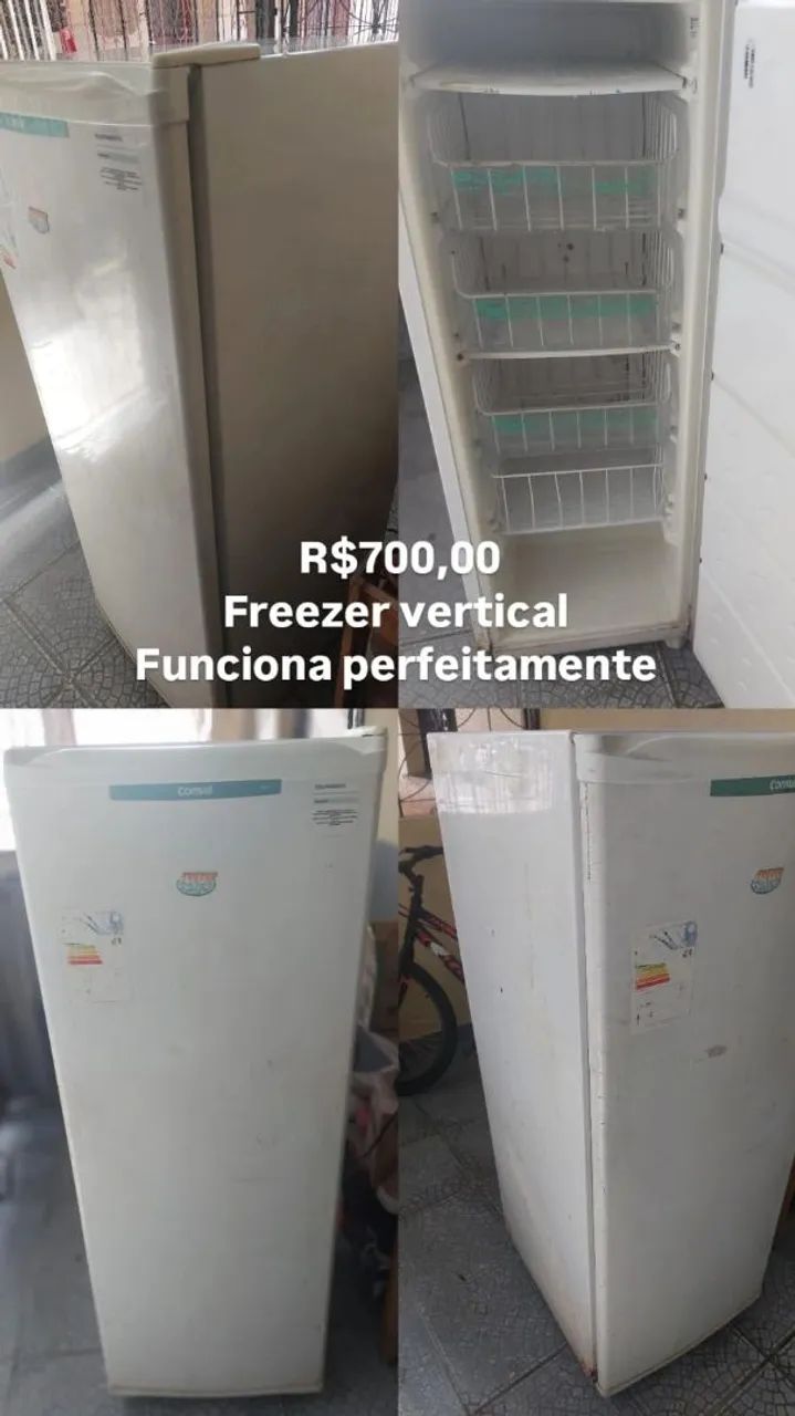 Freezer vertical