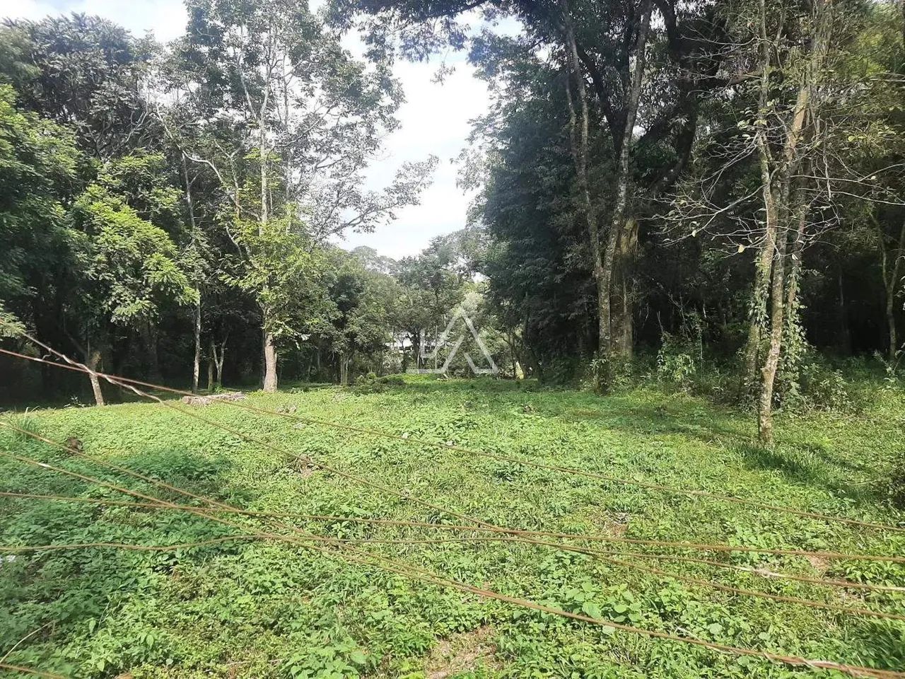 TERRENO NO BOQUEIRÃO - Foto 3