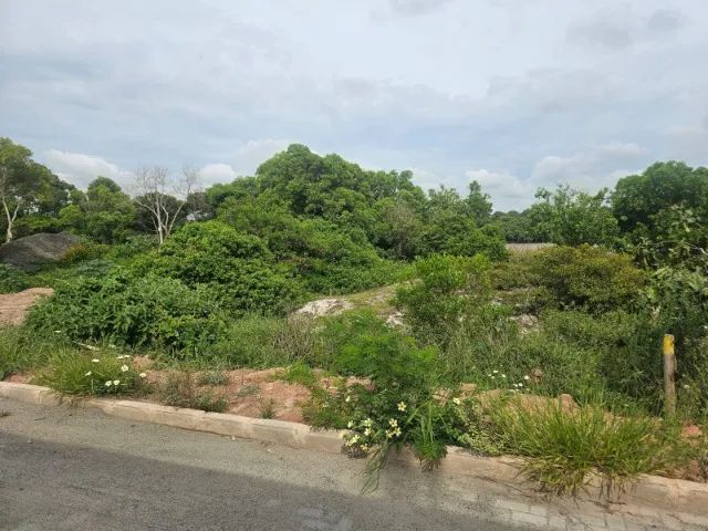 Vendo lote lagoa de ponta da fruta 540mts2  - Foto 4